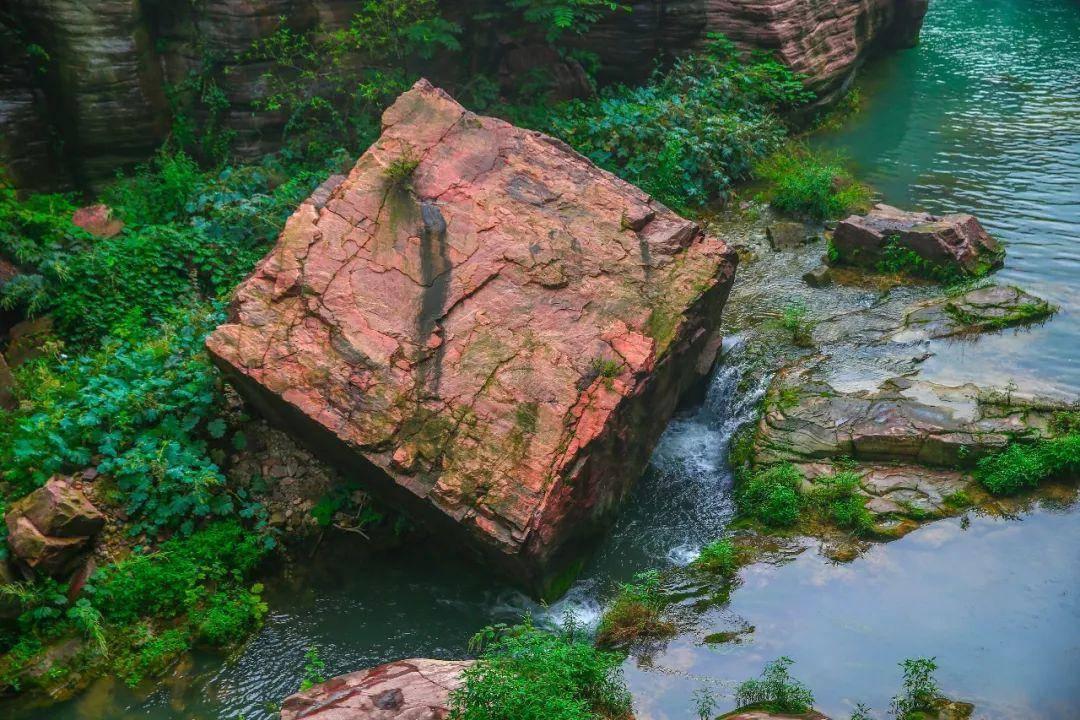《辣辣火辣》:贾玲和雷佳音的身材转变引发观众关注